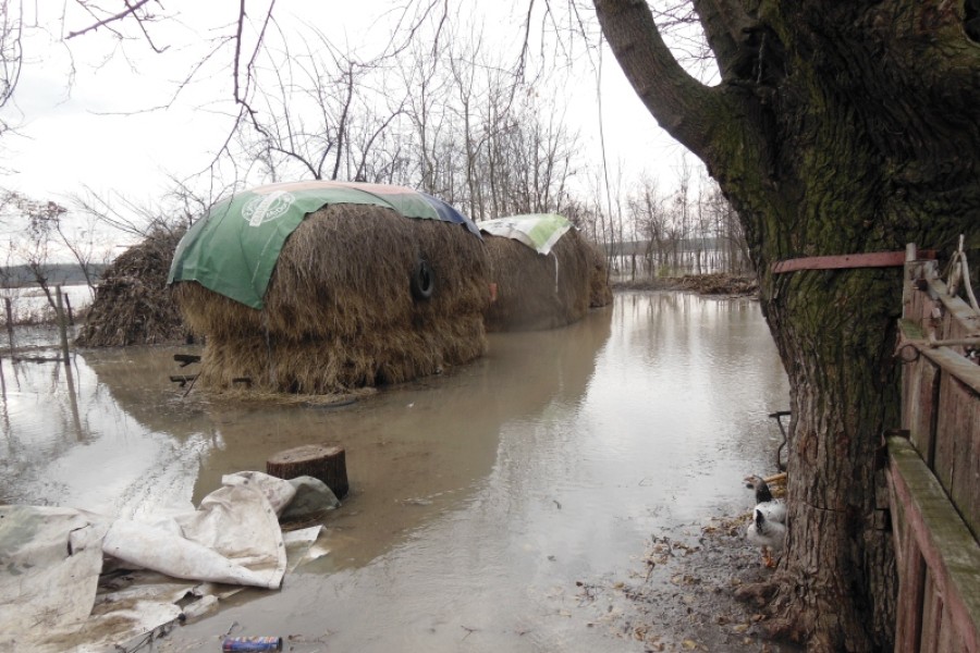Trivalea Mosteni – SVSU – inundatii noiembrie 2015